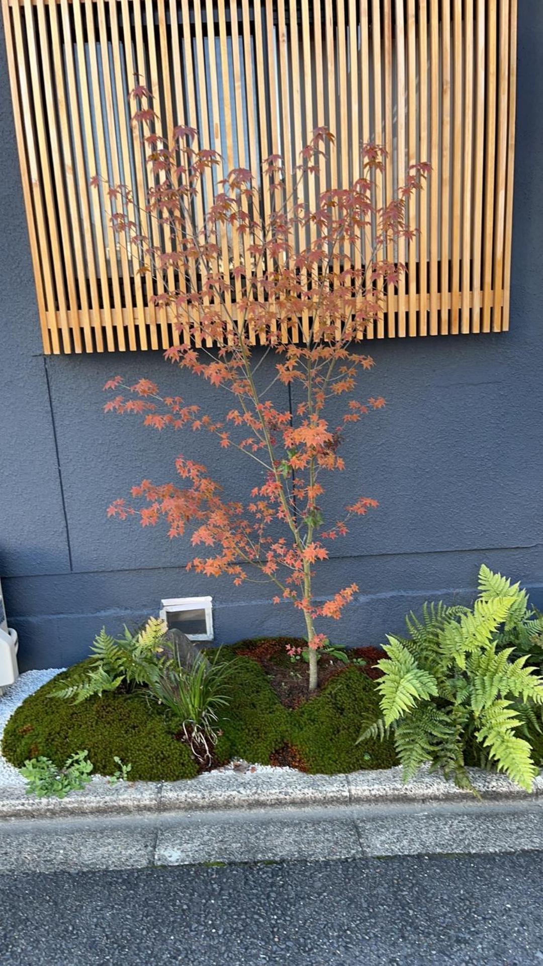 静雅の宿 Kyoto Exterior photo